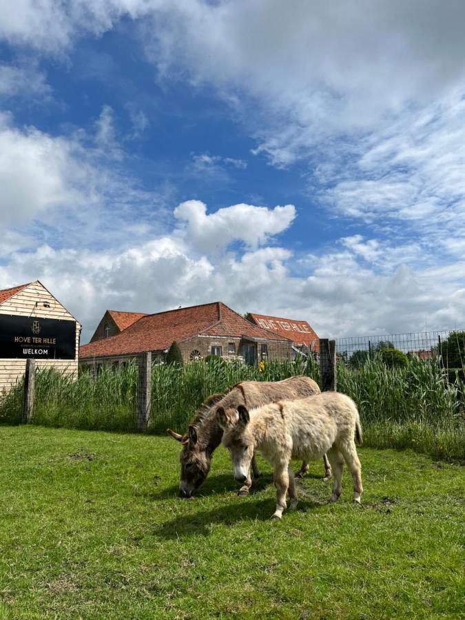 Hove Ter Hille Hotel Jabbeke  Kültér fotó