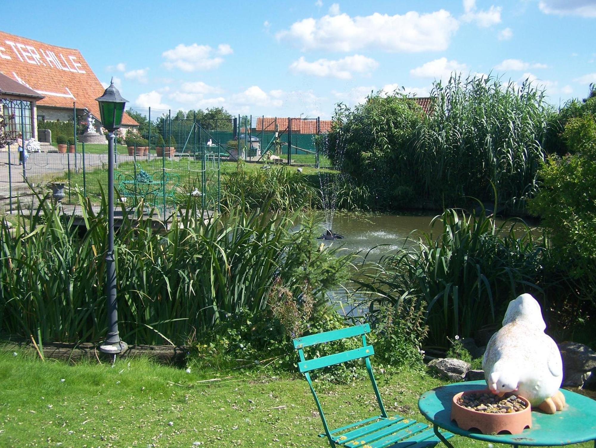 Hove Ter Hille Hotel Jabbeke  Kültér fotó